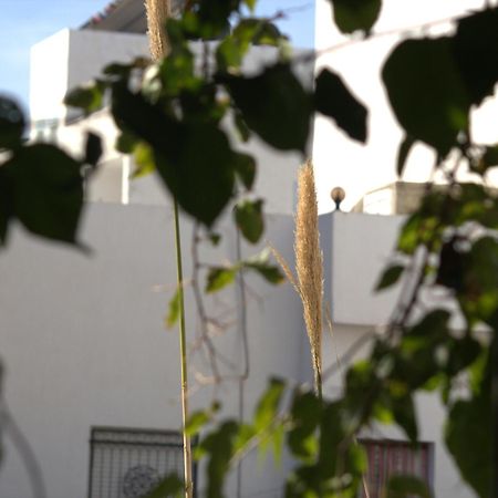 Residence Sterne Hammam al Ghazzaz Екстериор снимка